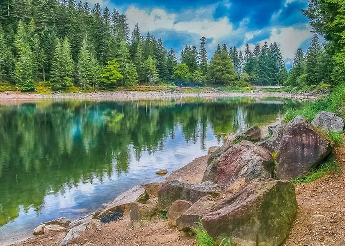 Confortable Avec Terrasse Et Jardin - Api-1-52-889